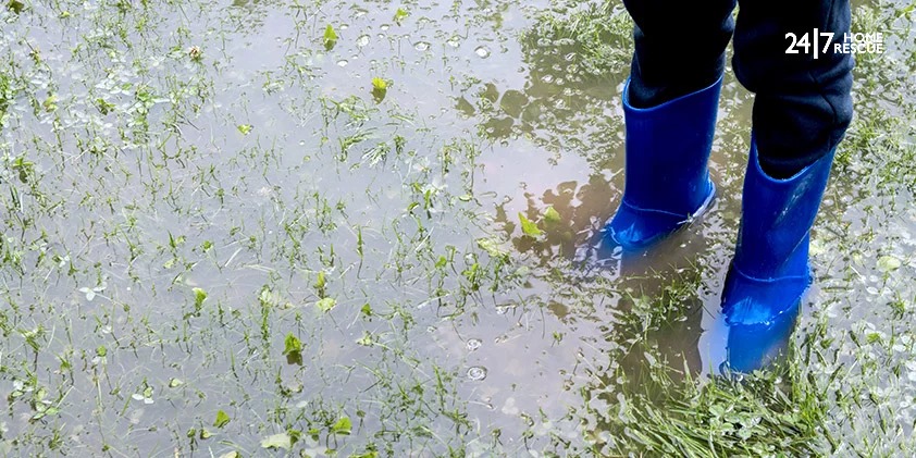 removing standing water from garden.