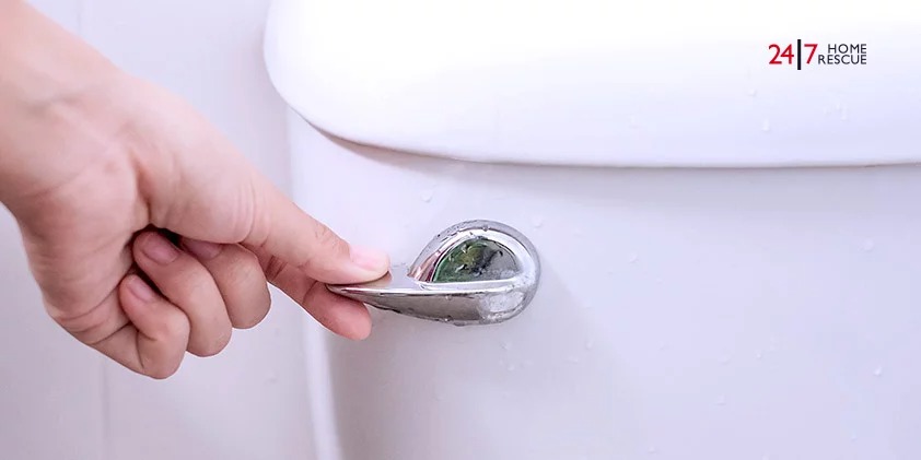 toilet is not flushing