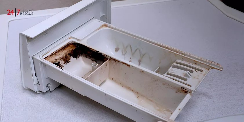 Dirt inside the Washing Machine Tray