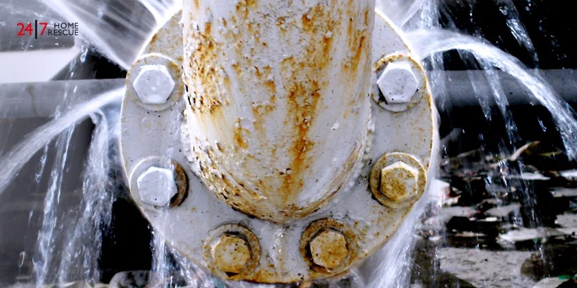 Hydraulic shocks