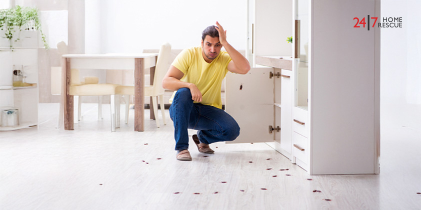 A young man surrounded by numerous cockroaches inside his home