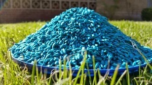 Rat poison, Prevent Rat/Mouse Infestations
