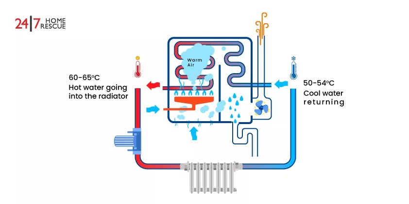 Condensing Boiler Working Diagram