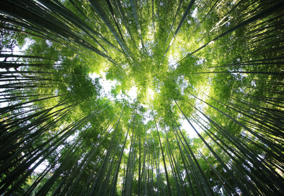Ensuring long-term sustainability